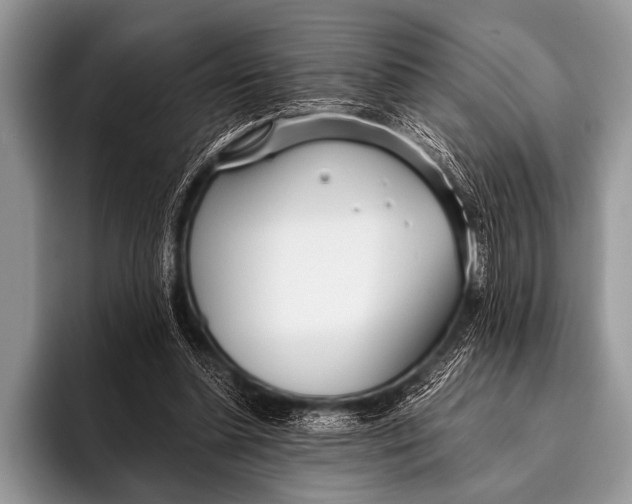 X0000096180348200802081504