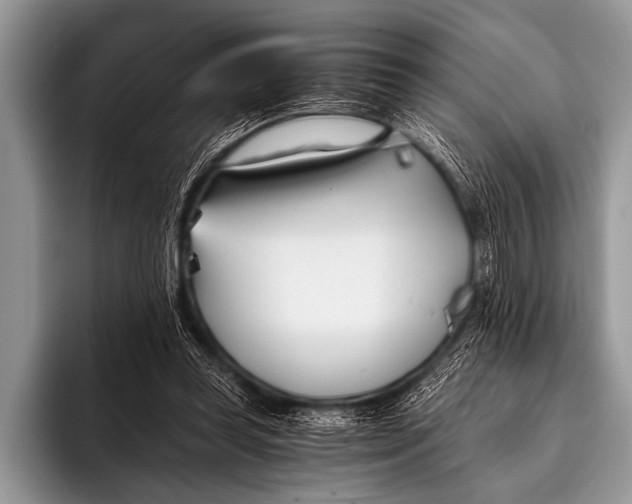 X0000096180349200802081504