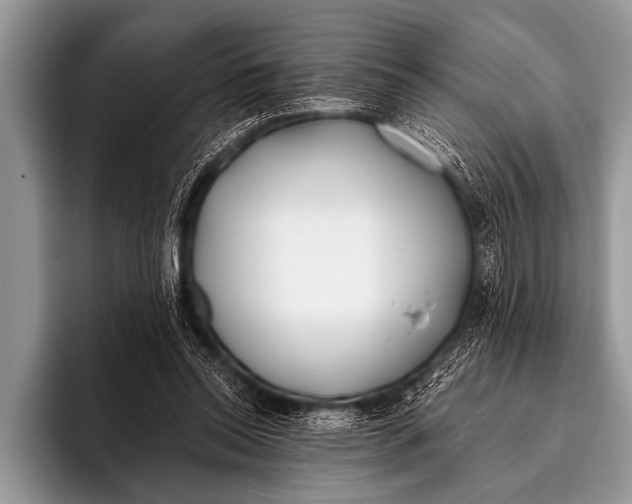 X0000096180350200802081504