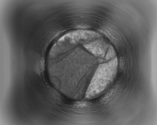X0000096180351200802081504