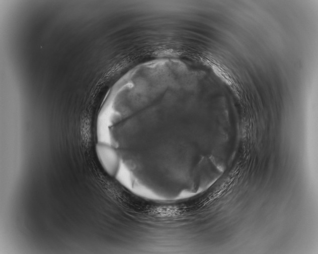 X0000096180353200802081504