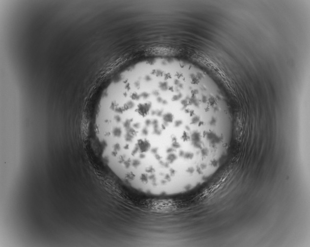 X0000096180355200802081504
