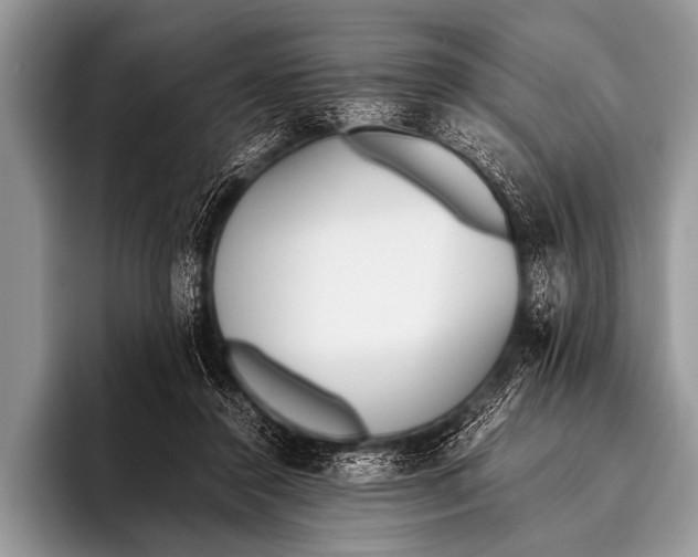 X0000096180356200802081504