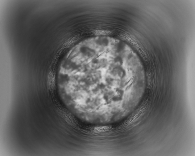 X0000096180357200802081504