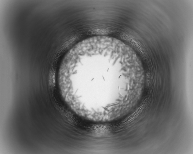 X0000096180358200802081504
