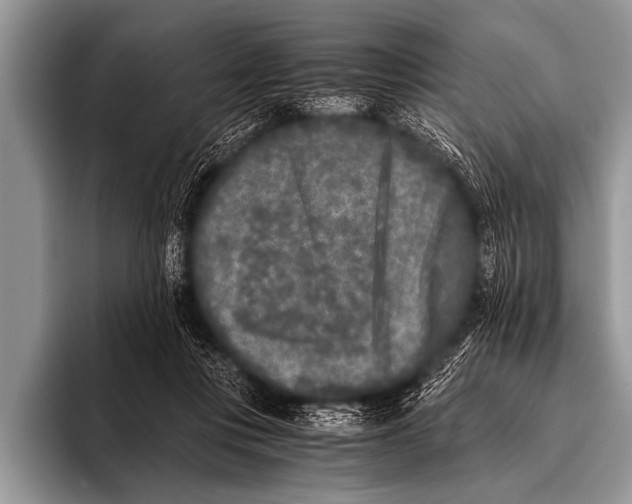 X0000096180359200802081504