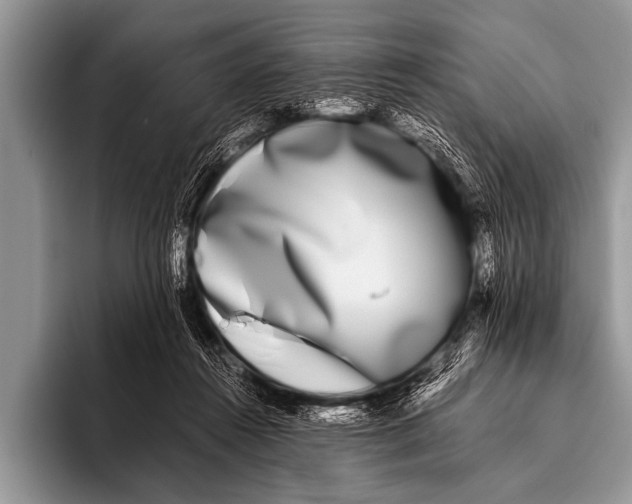 X0000096180360200802081504