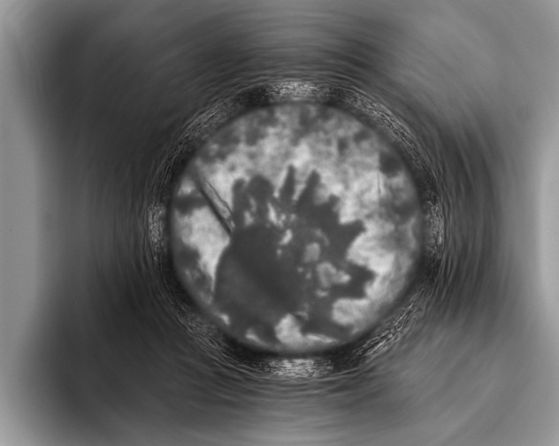 X0000096180361200802081504