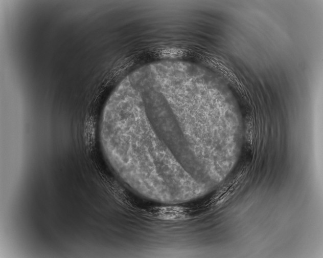 X0000096180363200802081504