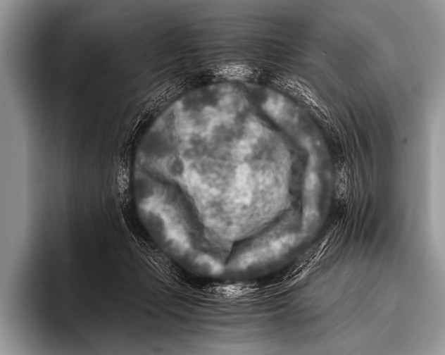 X0000096180365200802081504