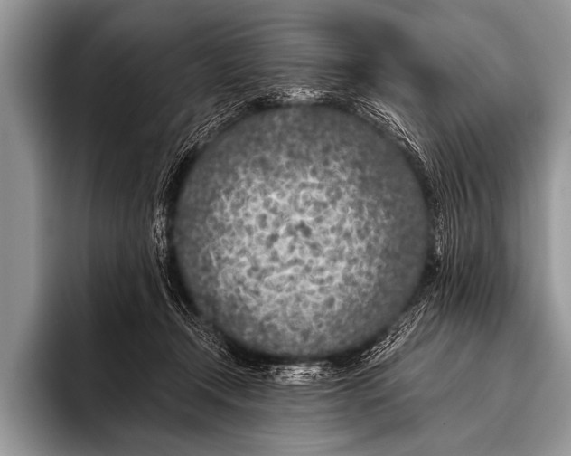 X0000096180366200802081504