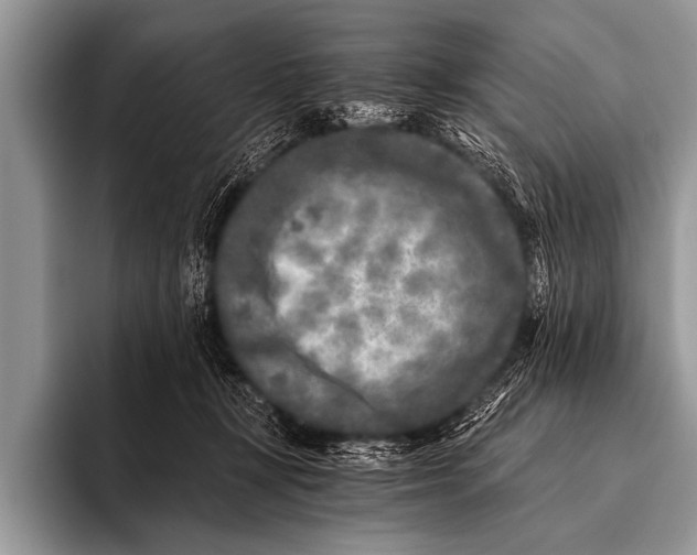 X0000096180367200802081504