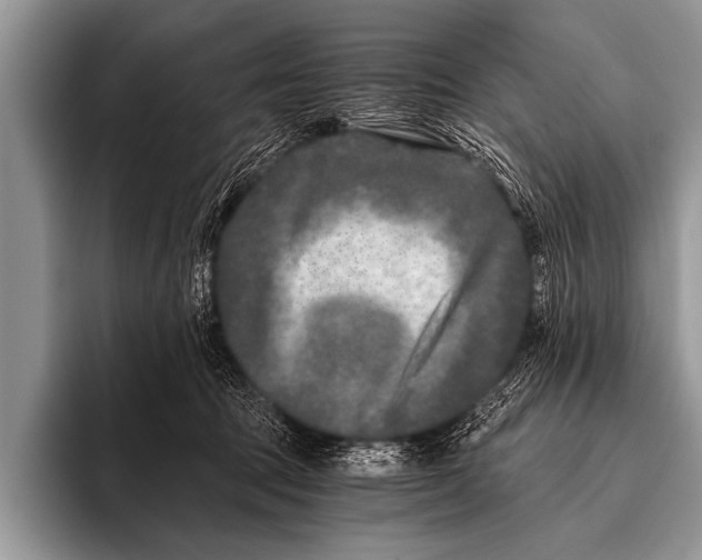 X0000096180369200802081504