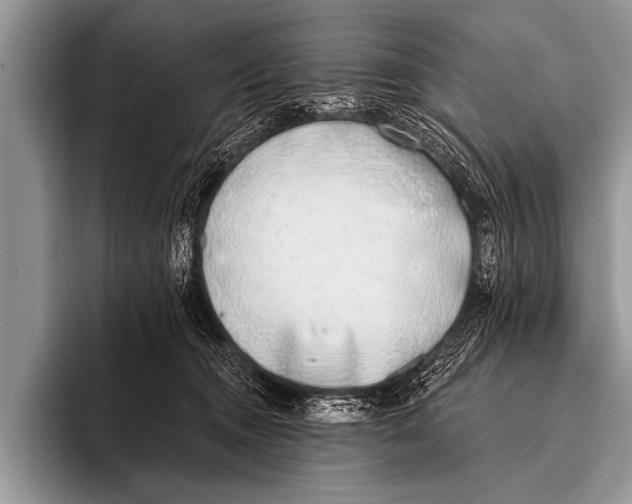 X0000096180372200802081504