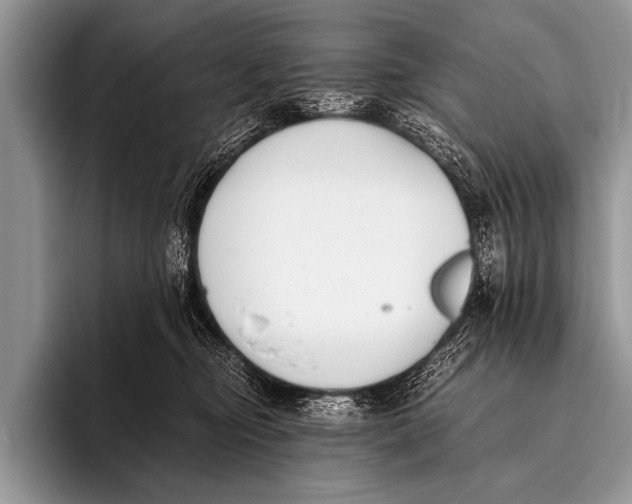 X0000096180374200802081504