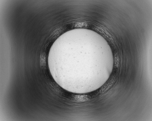 X0000096180375200802081504