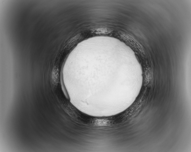 X0000096180376200802081504