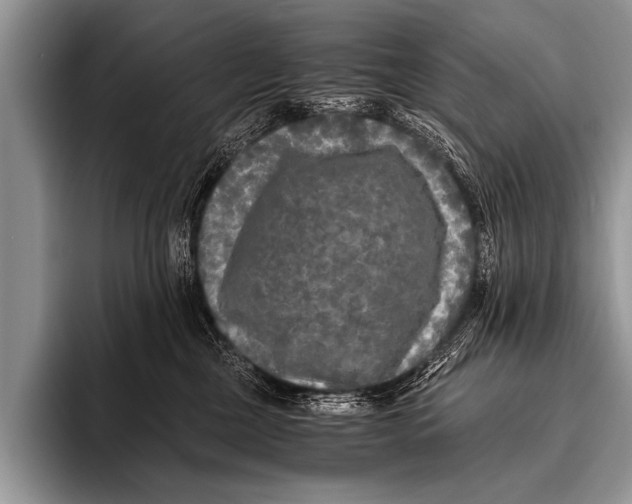X0000096180377200802081504