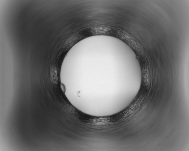 X0000096180378200802081504