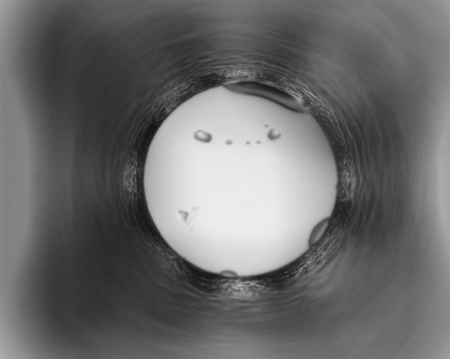 X0000096180379200802081504