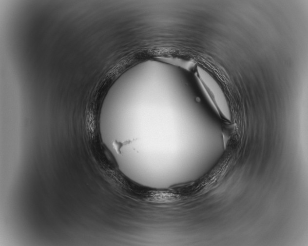 X0000096180380200802081504