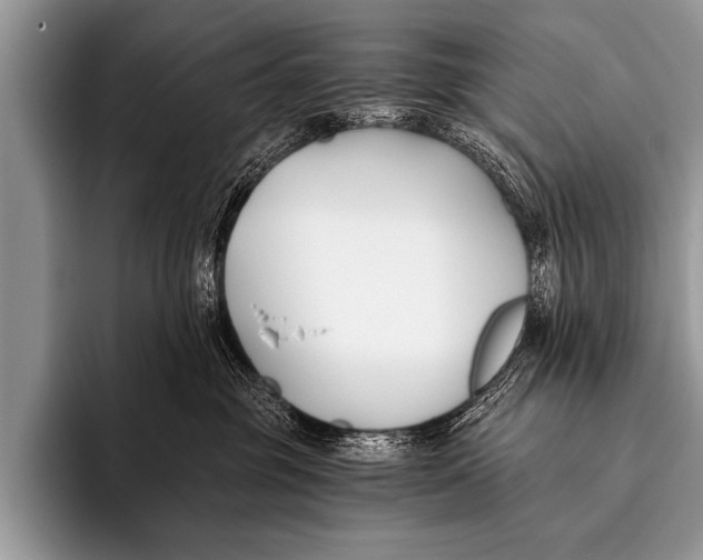 X0000096180381200802081504