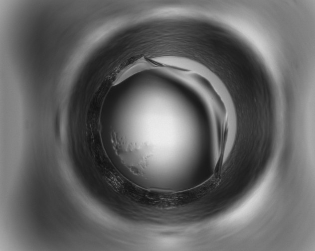 X0000096180382200802081504