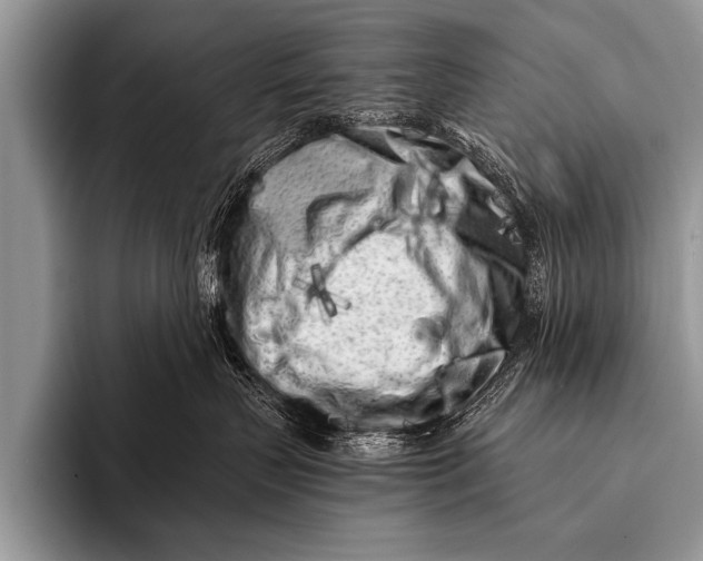 X0000096180383200802081504