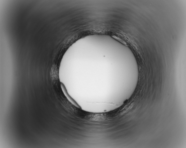 X0000096180384200802081504