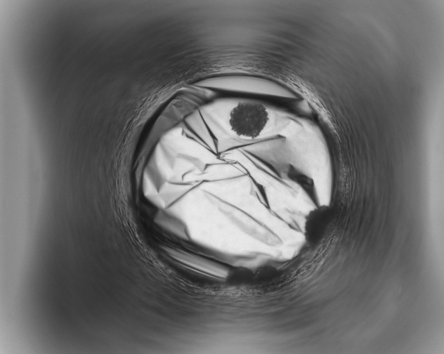 X0000096180385200802081504