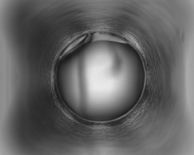 X0000096180389200802081504