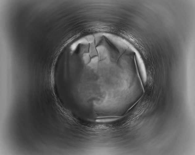 X0000096180390200802081504