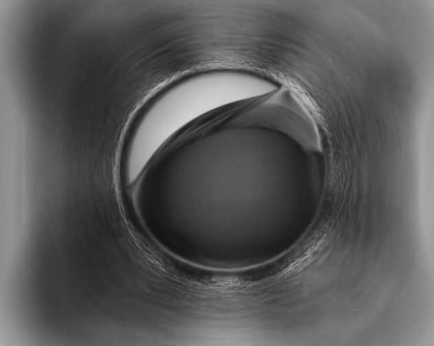 X0000096180391200802081504