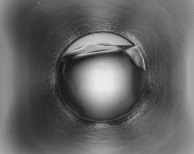 X0000096180393200802081504