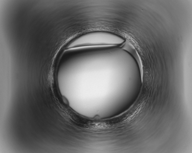 X0000096180395200802081504