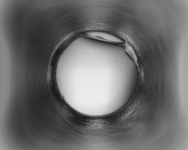 X0000096180396200802081503