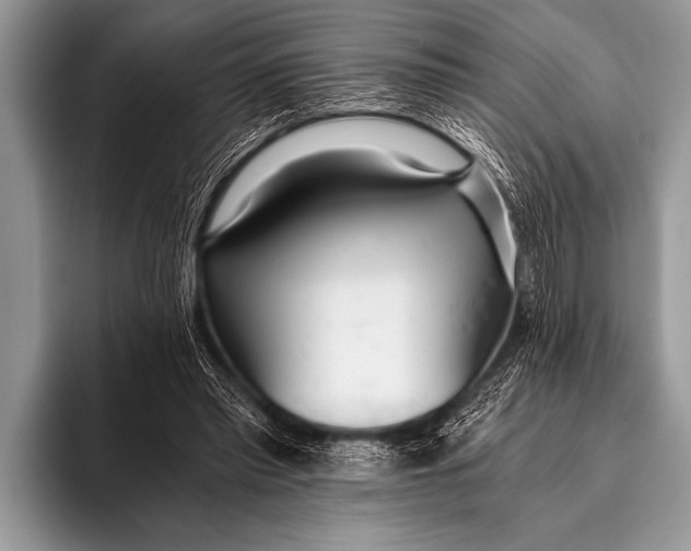 X0000096180397200802081503