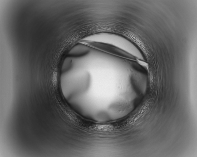 X0000096180401200802081503