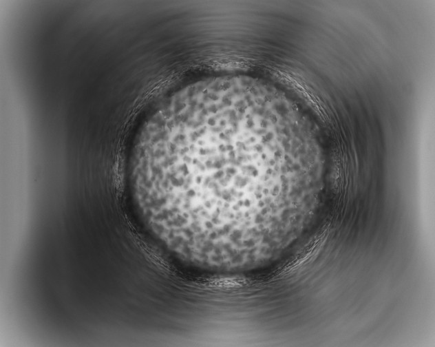 X0000096180402200802081503
