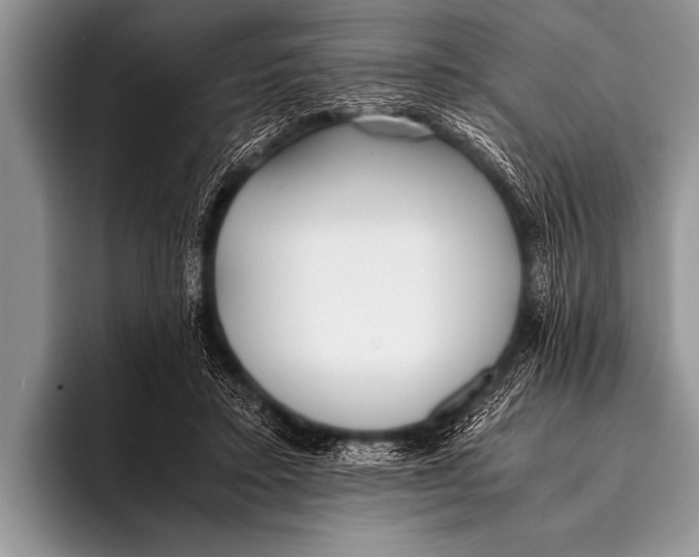 X0000096180403200802081503