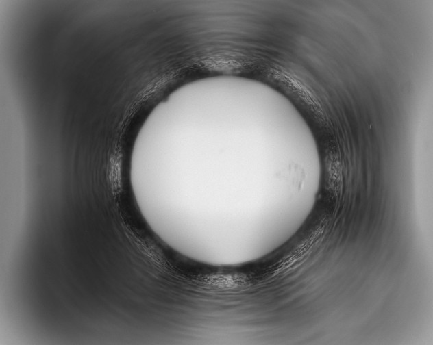 X0000096180404200802081503