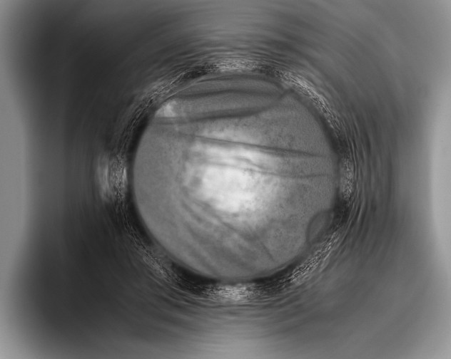 X0000096180405200802081503