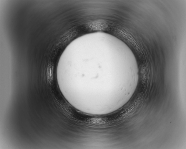 X0000096180406200802081503