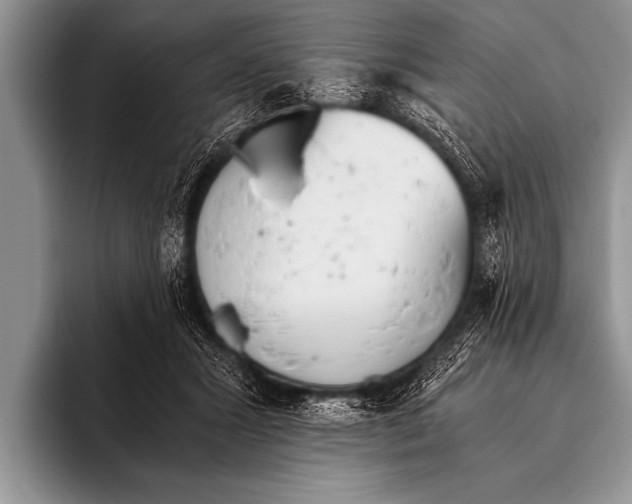 X0000096180407200802081503