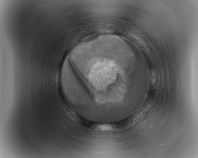 X0000096180409200802081503