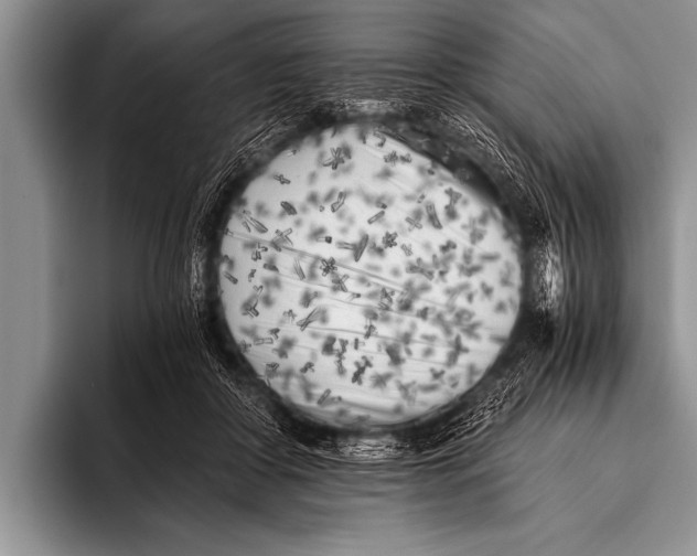 X0000096180410200802081503