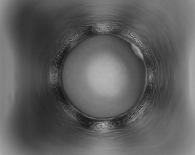 X0000096180411200802081503