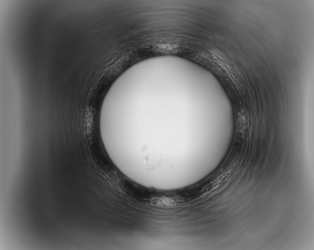 X0000096180412200802081503