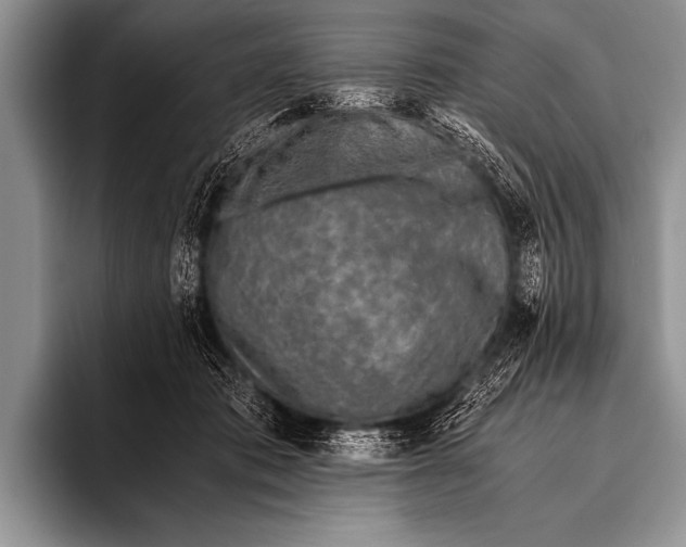 X0000096180413200802081503