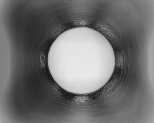 X0000096180414200802081503
